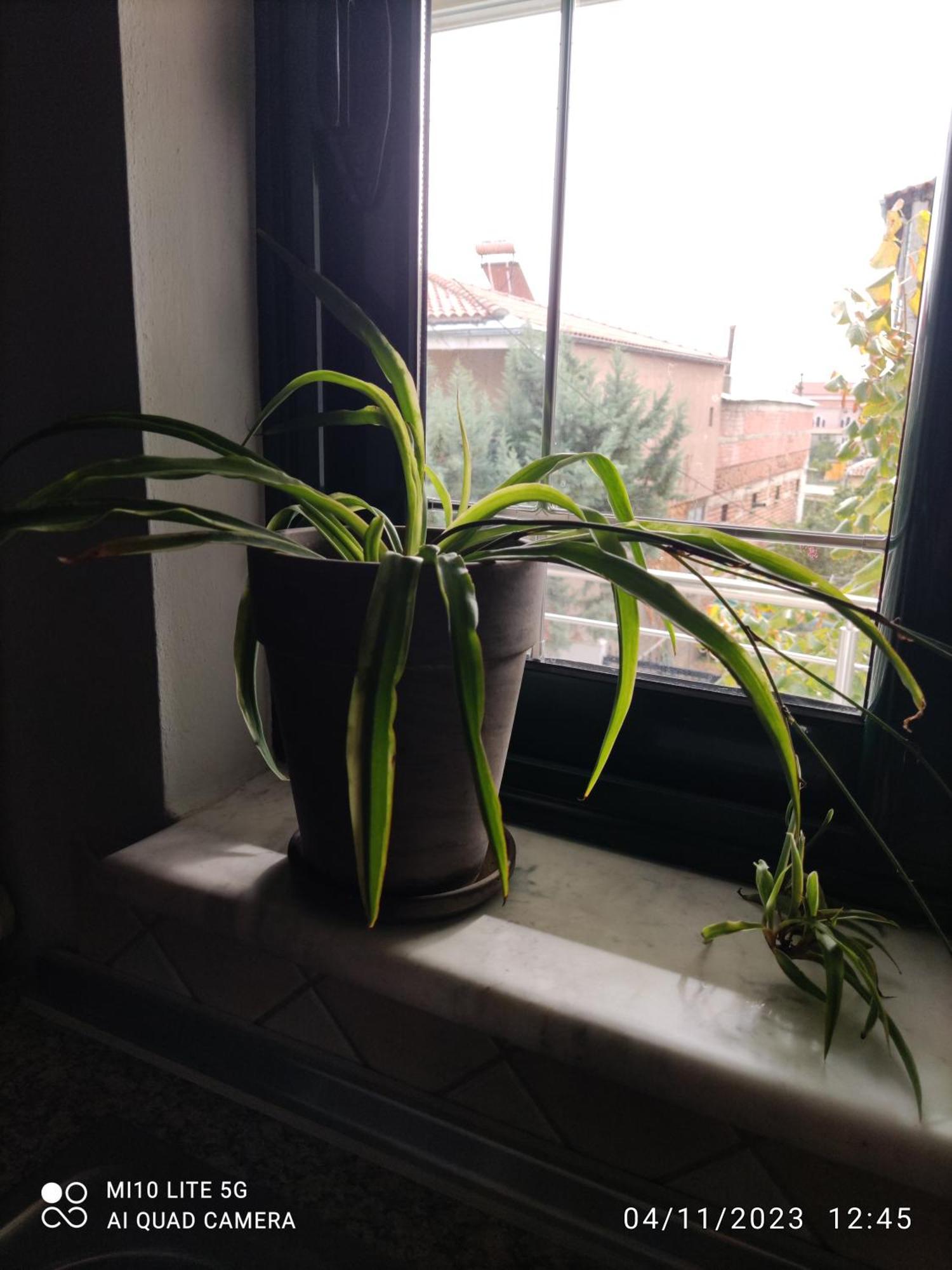 Apartment Sweet 50τμ σε ήσυχη περιοχή Orestiada